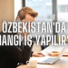 Özbekistan’da Hangi İş Yapılır?