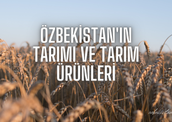 Özbekistan’ın Tarımı ve Tarım Ürünleri
